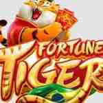 Fortune Tiger