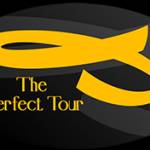 Theperfect tour