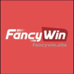 CEO Fancywin