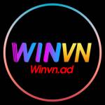 WINVN ad