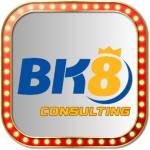 bk8 consulting