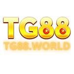 TG 88