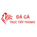 Đá Gà Trực Tiếp Thomo Hôm Nay