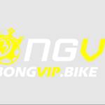 BONGVIP Kênh Xem Bóng Đá Trực Tuyến Uy T