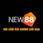 NEW88 Link Dang Nhap