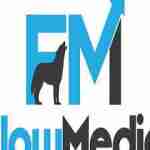 Flow Media