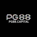 pg88 Capital