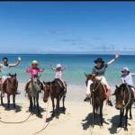 Natadola Beach Horse Riding Tour