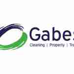 gabescleaning824